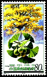 Ginkgo stamp China
