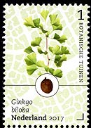 Ginkgo stamp Netherlands