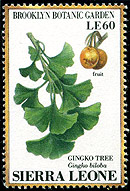 Ginkgo stamp Sierra Leone
