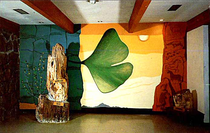 Mural  Ginkgo Petrified Forest Museo
