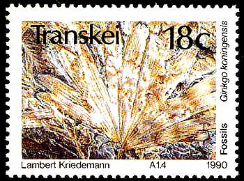 ginkgo fossil stamp Transkei