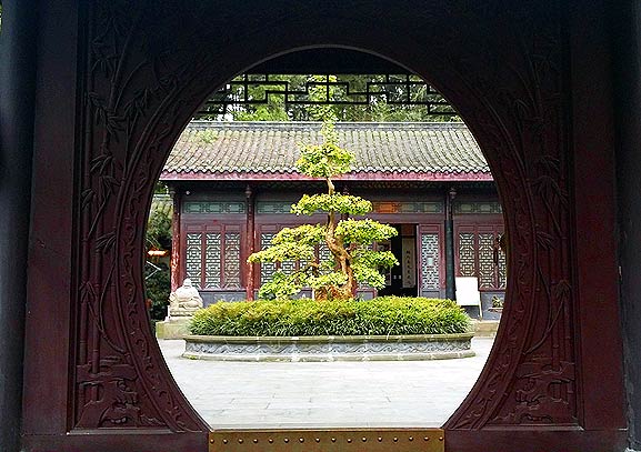 Jinjiang Bonsai garden (photo: James Wilkins)
