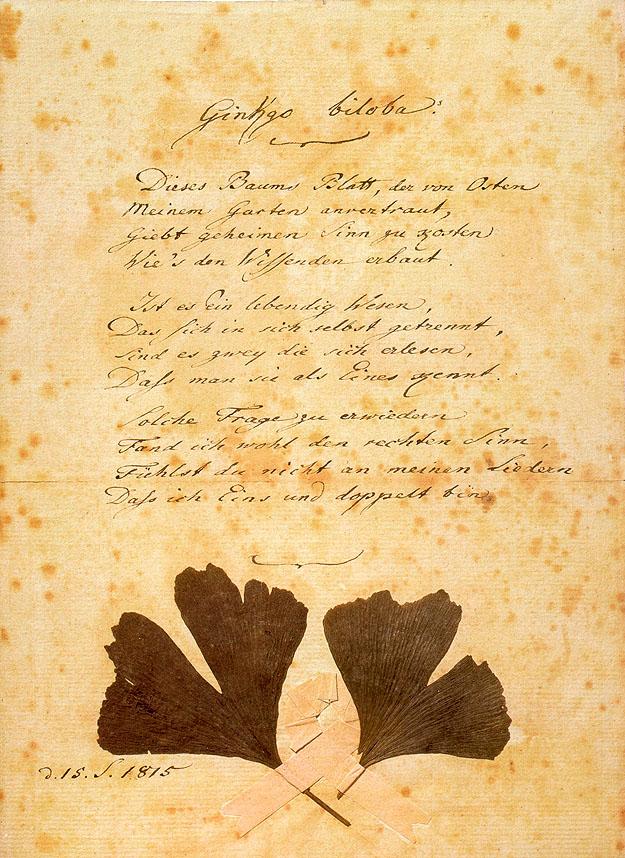 Goethe's poem Ginkgo biloba