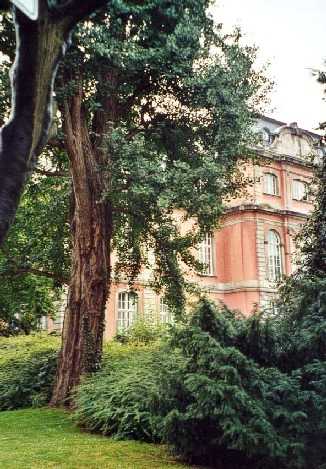 Goethe Museum, Dusseldorf