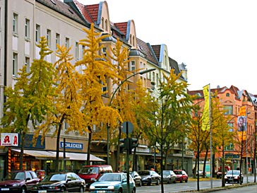 Berliner Strasse, Berlin (photo H.M. Trautnitz)