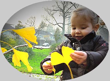 Toddler with Ginkgo leaves (photo Cor Kwant)