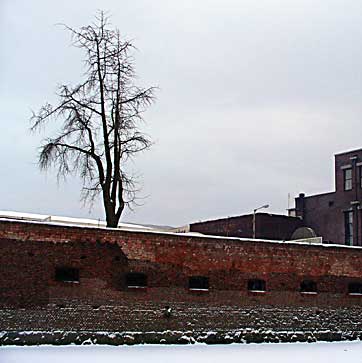 Kaliningrad, Baranova street