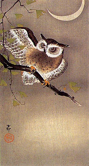 owl by Koson