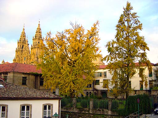 Santiago del Compostela (photo Gomez)
