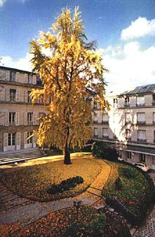 Cluny Mother House, Paris (photo Srs of St Joseph of Cluny)
