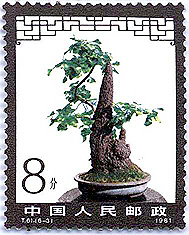China Ginkgo bonsai stamp