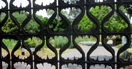 Ginkgo Gate Botanic Garden Adelaide (photo John Zwar)
