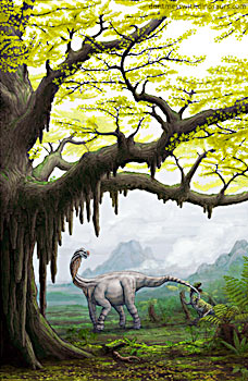 Shunosaurus under Ginkgo yimaensis (picture Brian Engh)