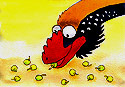 Dinosaur eating ginkgo seeds