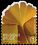 Ginkgo stamp Belgium