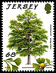 Jersey Ginkgo stamp