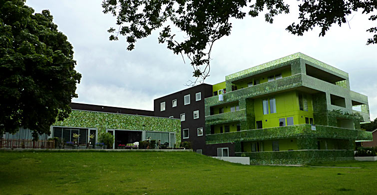 Ginkgo project Beekbergen (photo Cor Kwant)