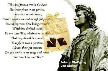 Goethe Ginkgo poem