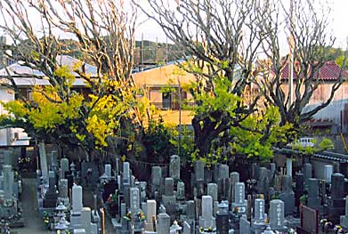 KousyoujiTempel-Friedhof,Chiba (photo Kato)