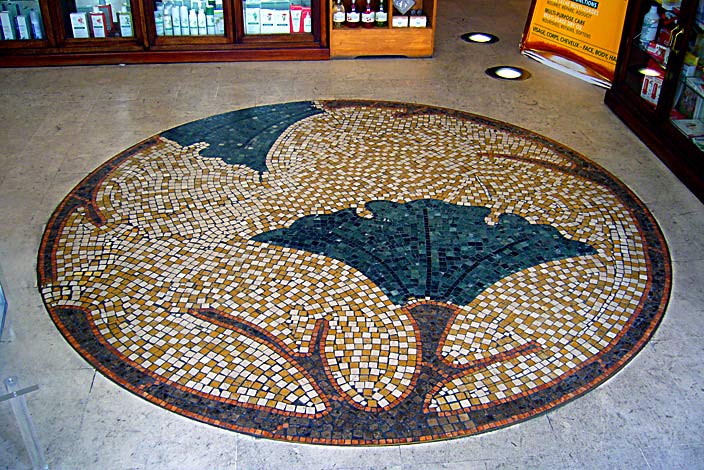 Pharmacie du Ginkgo, Nancy, Ginkgo mosaic on floor (photo Cor Kwant)