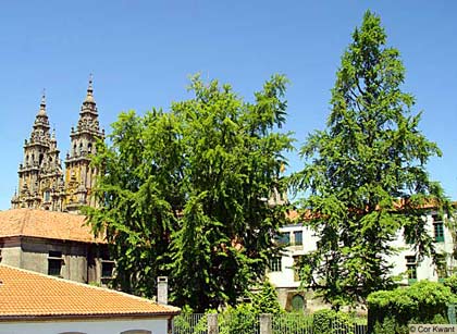Santiago de Compostela (photo Cor Kwant)