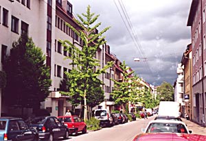 Stuttgart, Ludwig Str. (photo Peter Gniech)