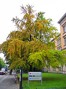 Berlin, Univ. der Kuenste (photo H.-M. Trautnitz)