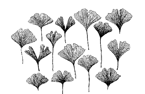 leaf formes