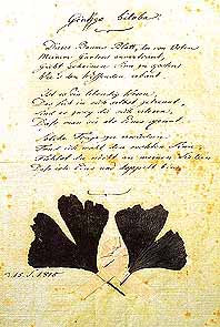 Goethe's gedicht in oorspronkelijk handschrift