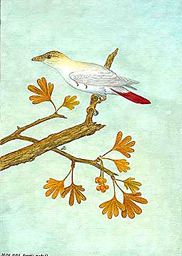 Sinornis santensis y Ginkgo apodes (imagen Alexander Lang)
