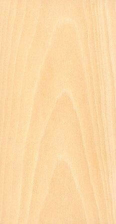 madera de Ginkgo